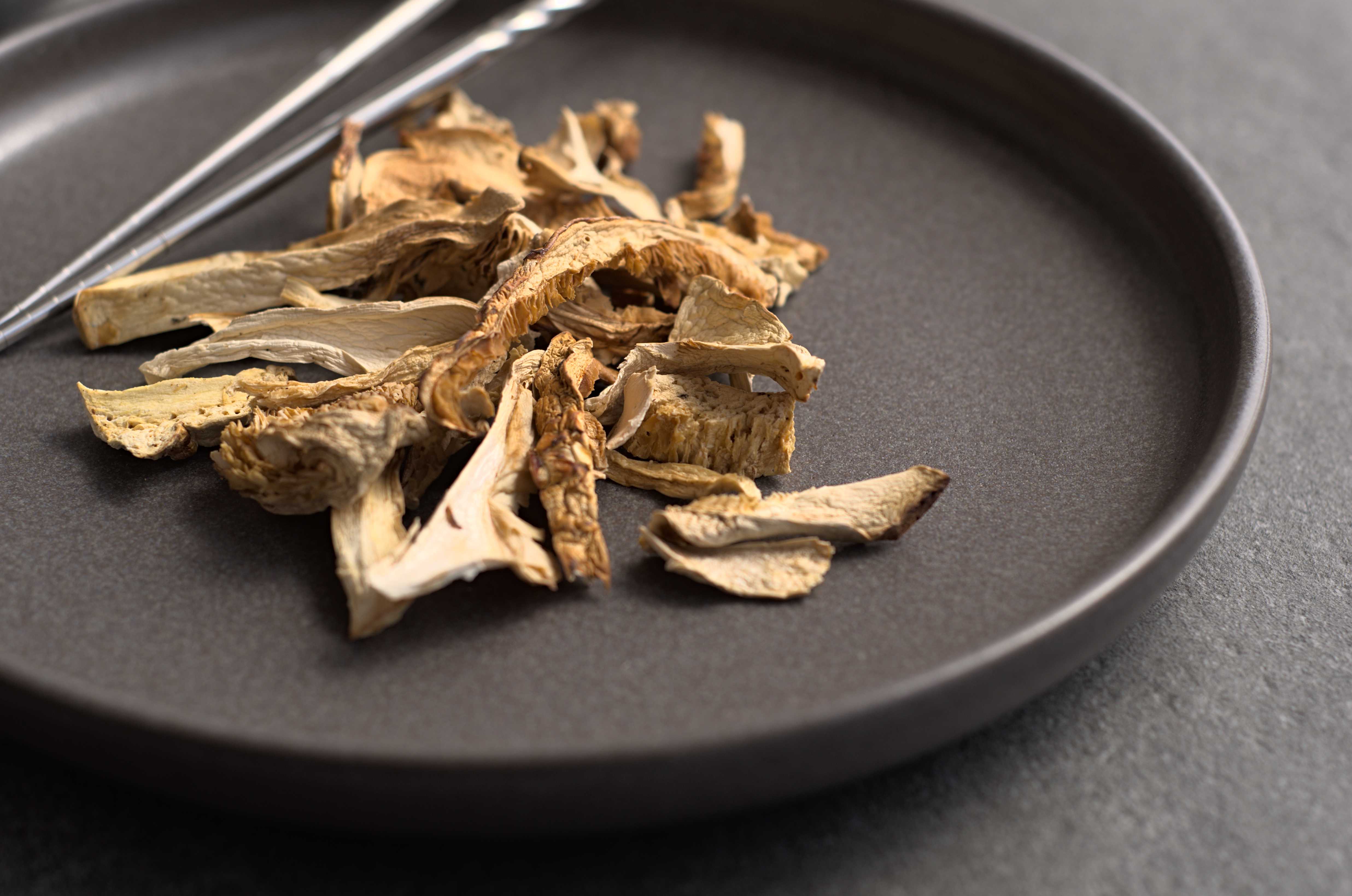 Nos champignons sauvages