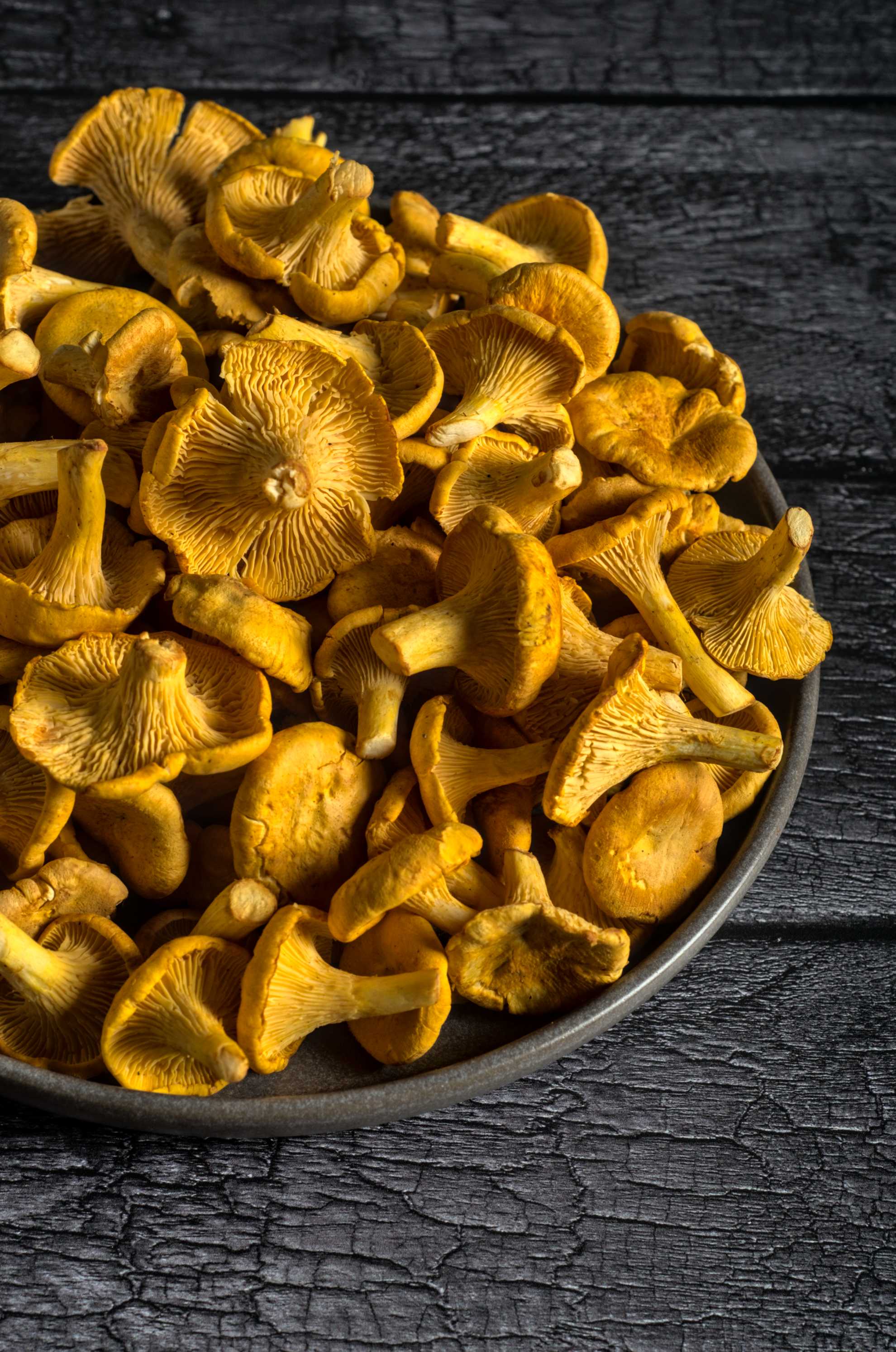 champignons sauvages chanterelles