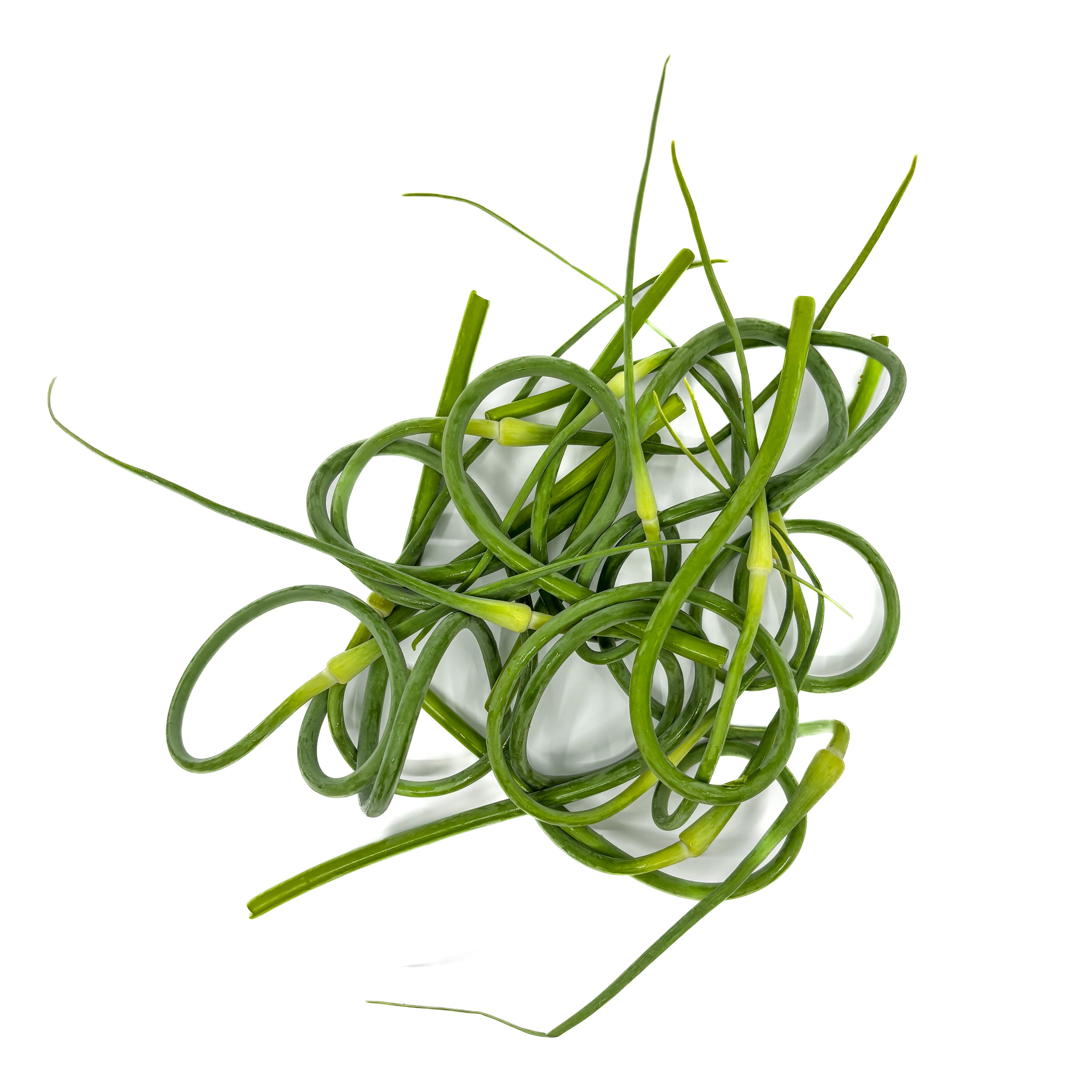 Fleur d’ail bio 200 g