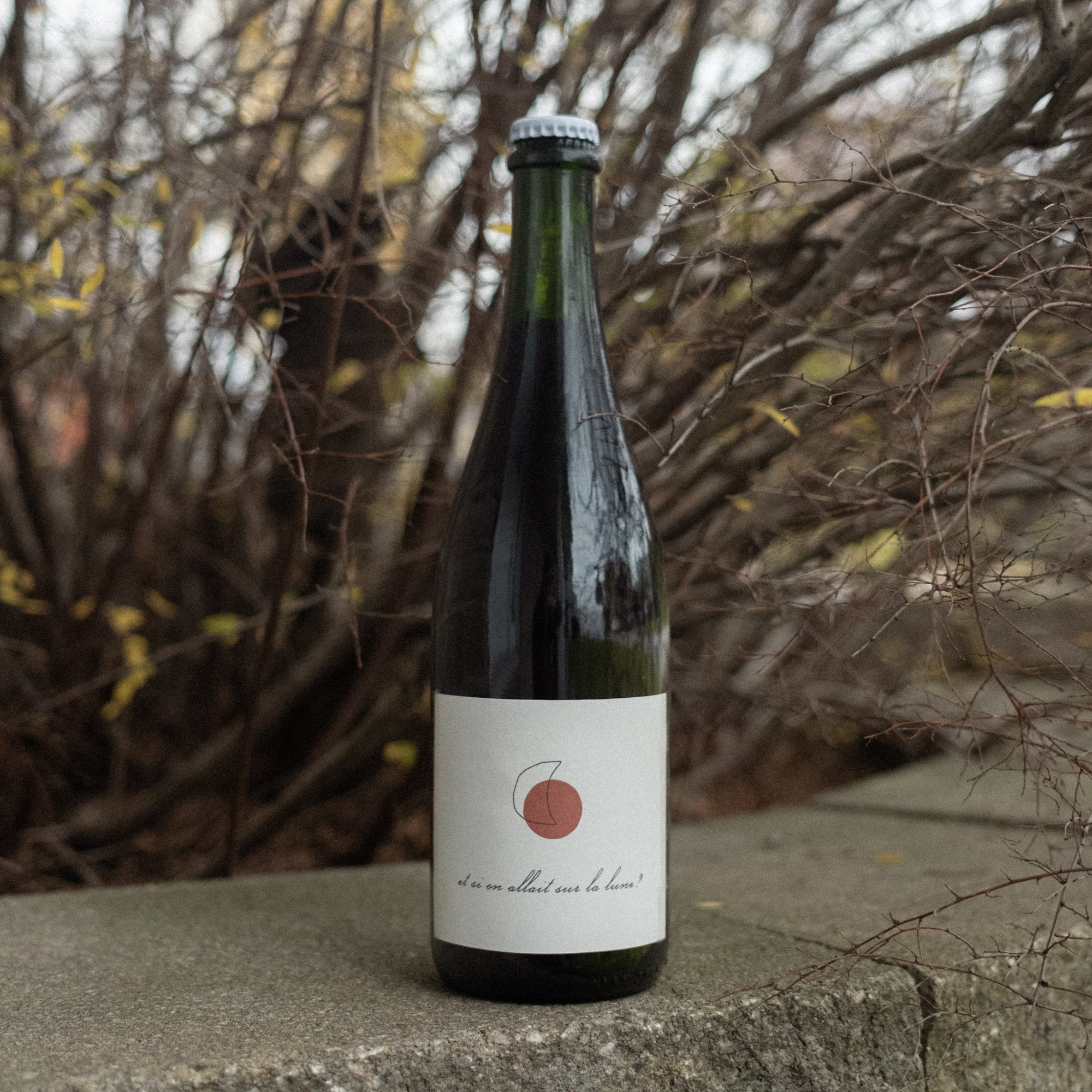 Vin Et si on allait sur la lune?