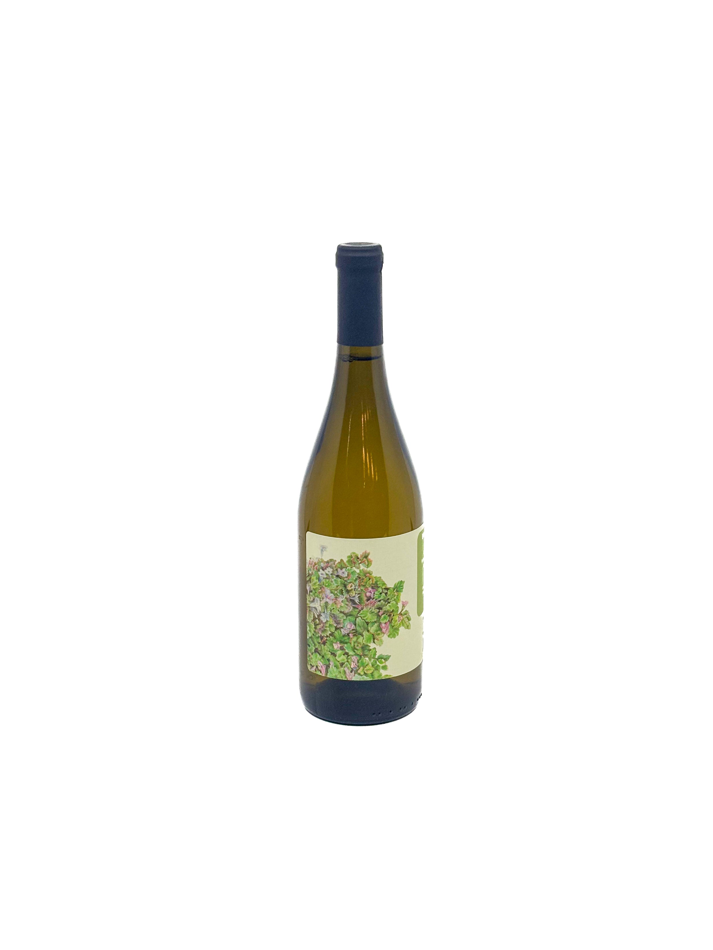Bouteille de vin Blanc de cliche du vignoble Couchepagane sur fond blanc