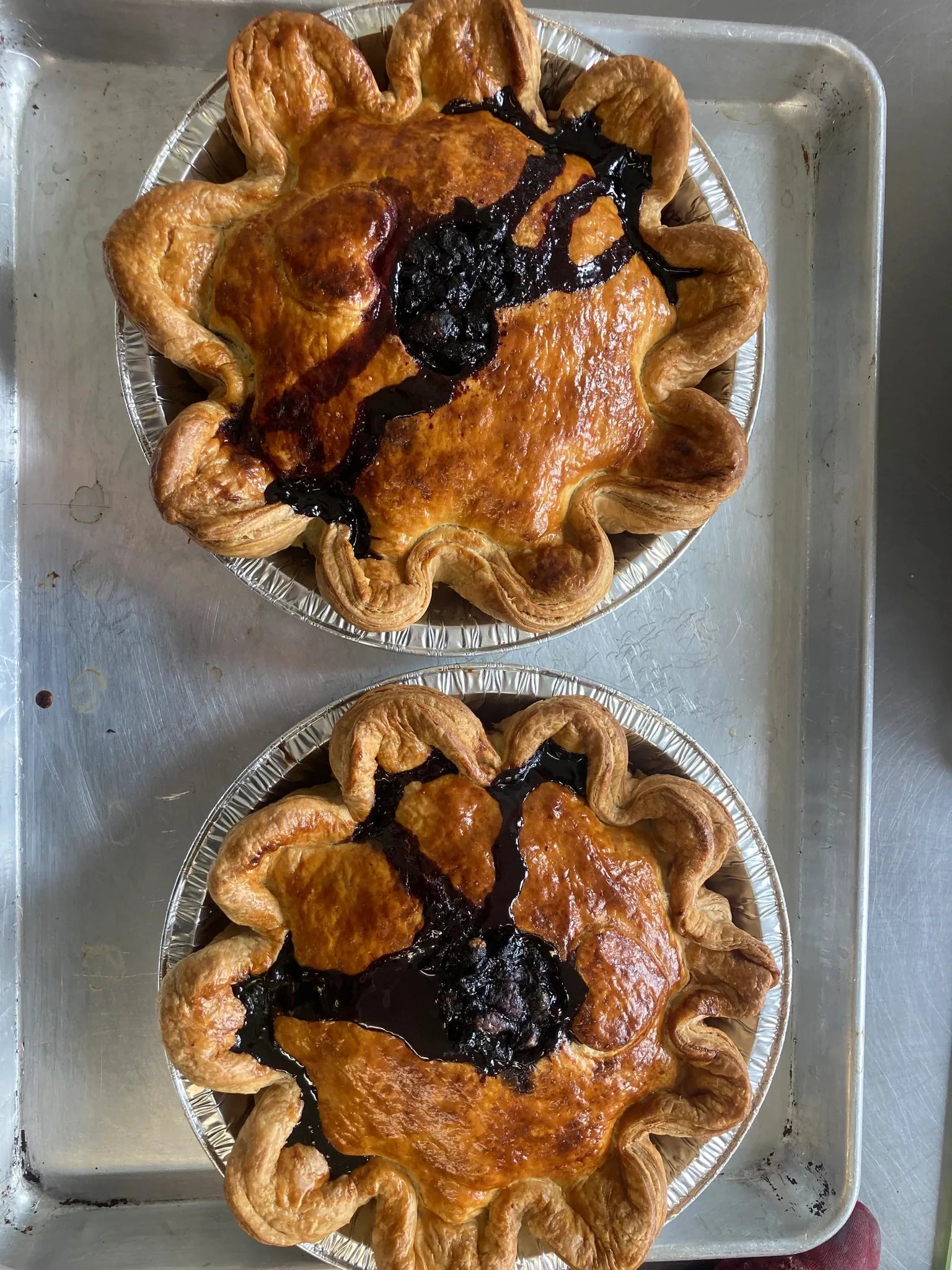 Tarte bleuets sauvages et érable