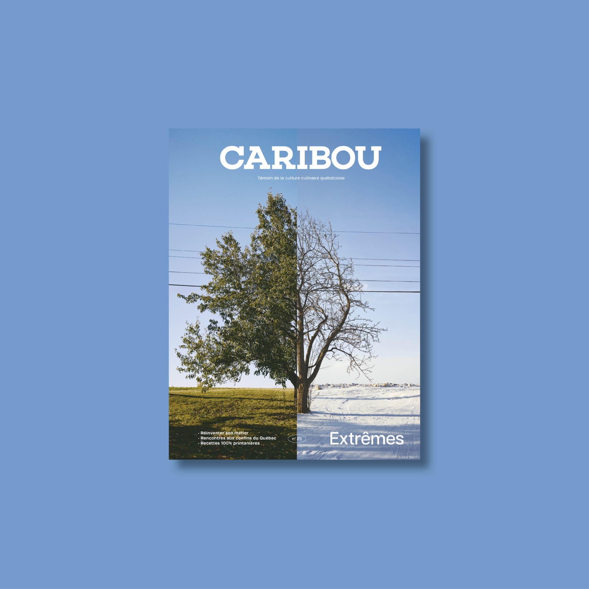 Caribou magazine