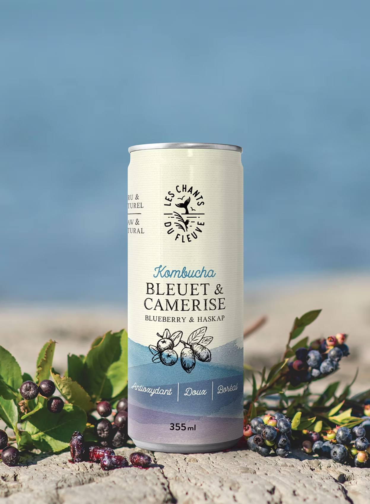 Kombucha bleuet sauvage & camerise