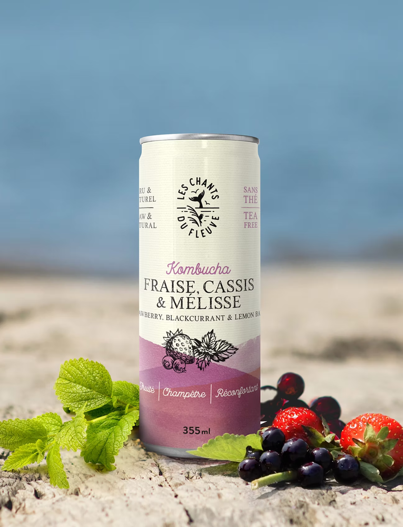 Kombucha fraise, cassis & mélisse · sans caféine