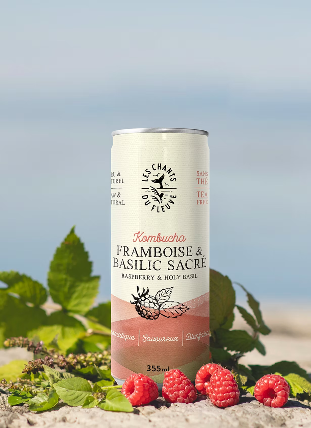 Kombucha framboise & basilic sacré · sans caféine