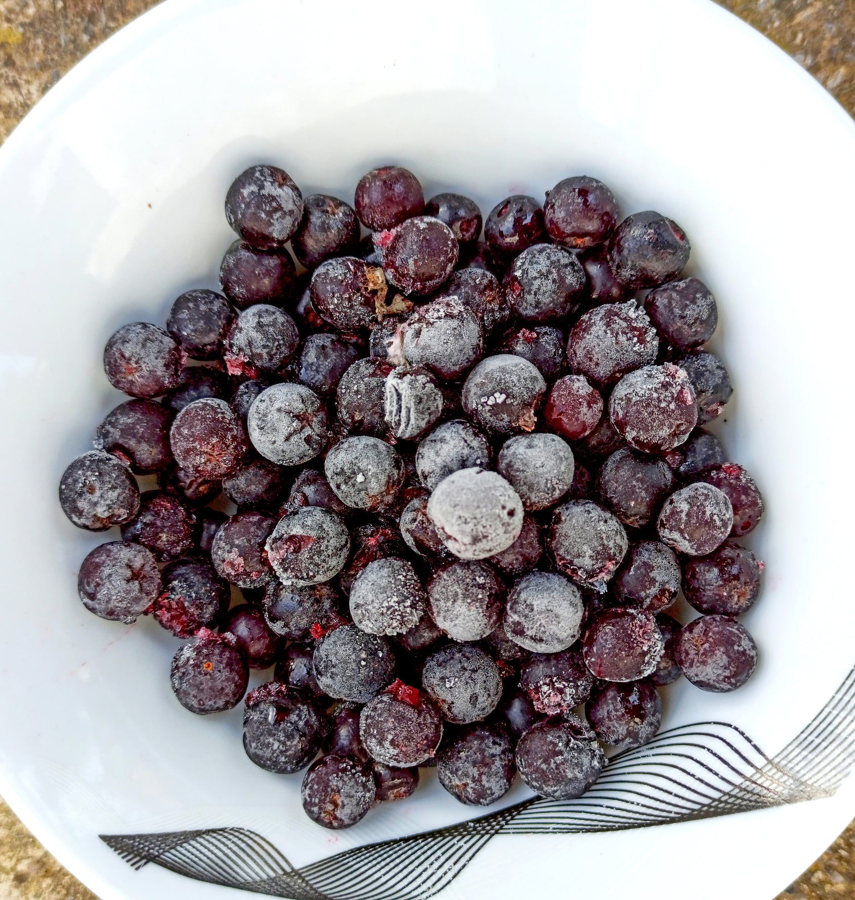 Baies d'aronia congelées