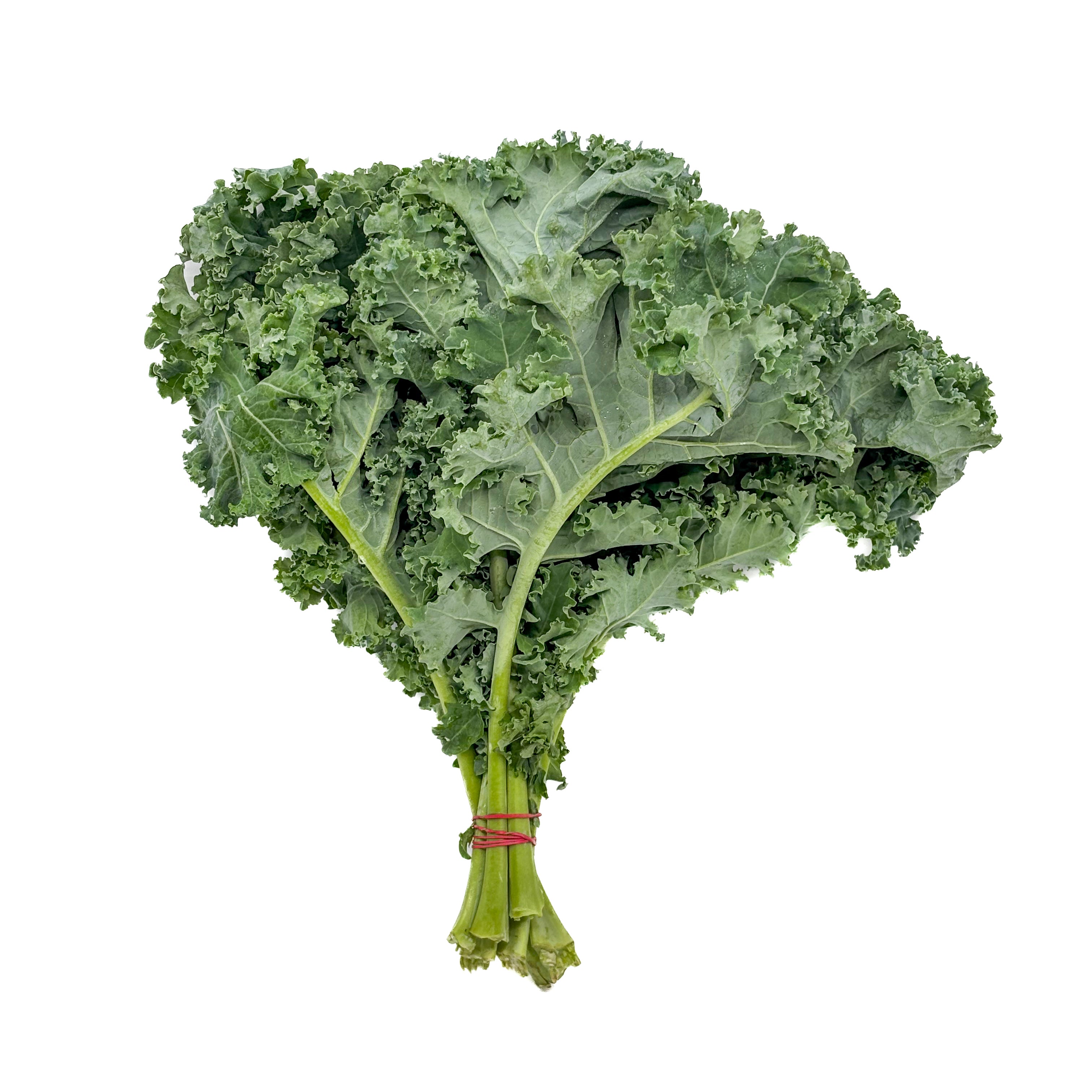 Botte de kale biologique sur fond blanc