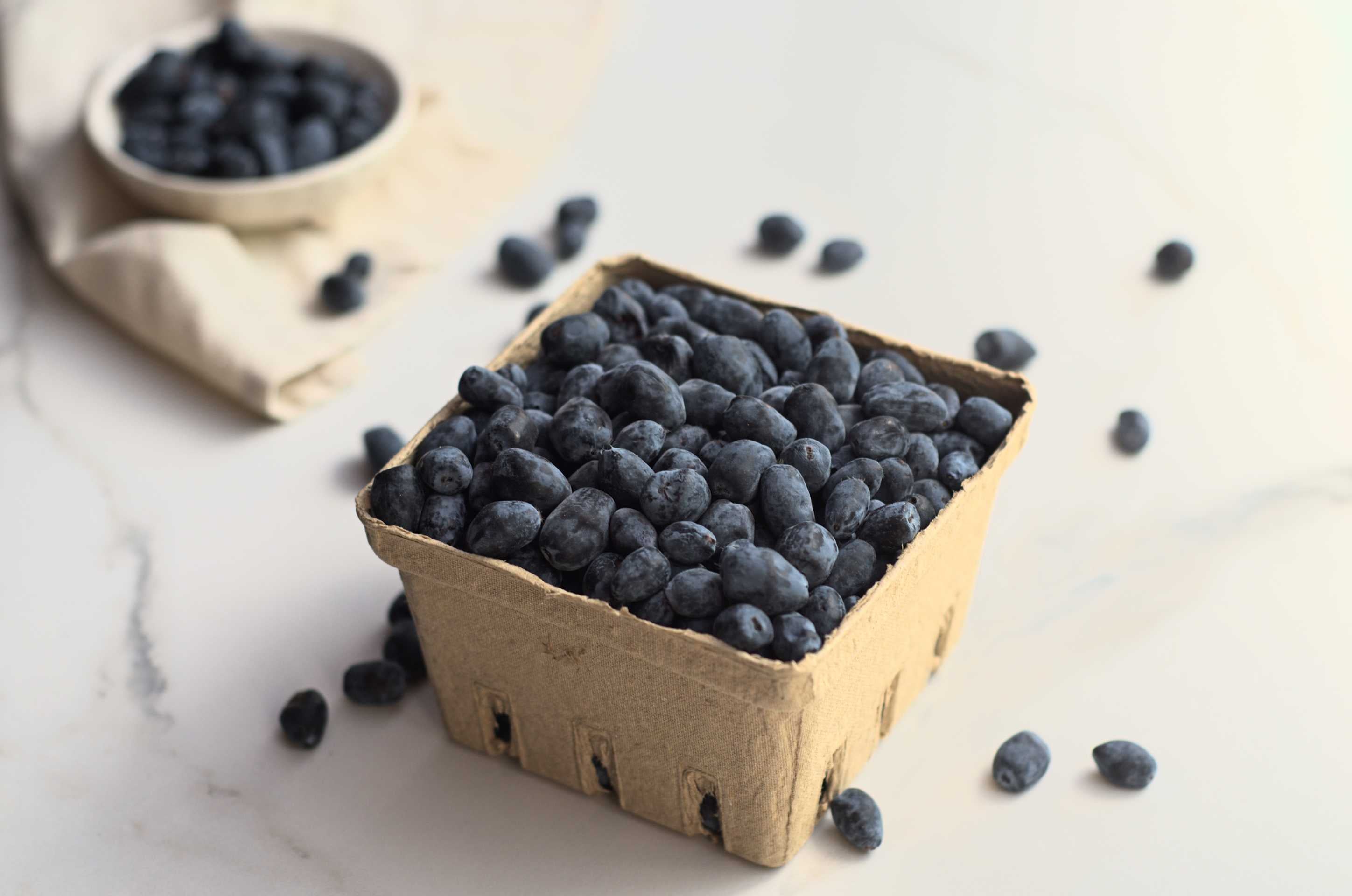 Camerises biologiques fraîches - Ferme Les délices du rapide