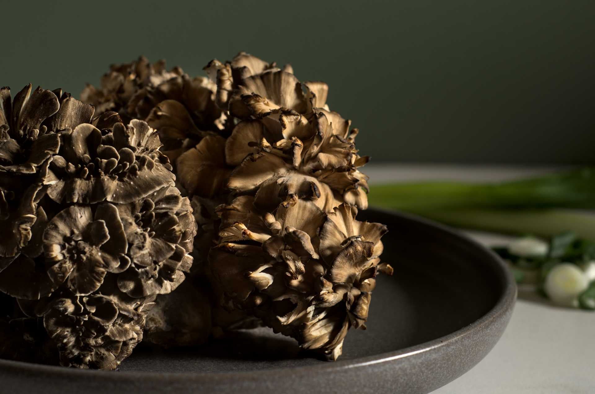 Champignons maitake biologiques frais - Mediserre