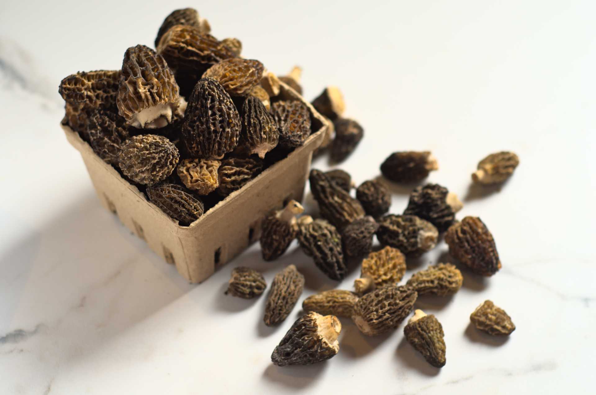 Morilles du Canada fraîches dans une barquette compostable sur un comptoir en marbre blanc