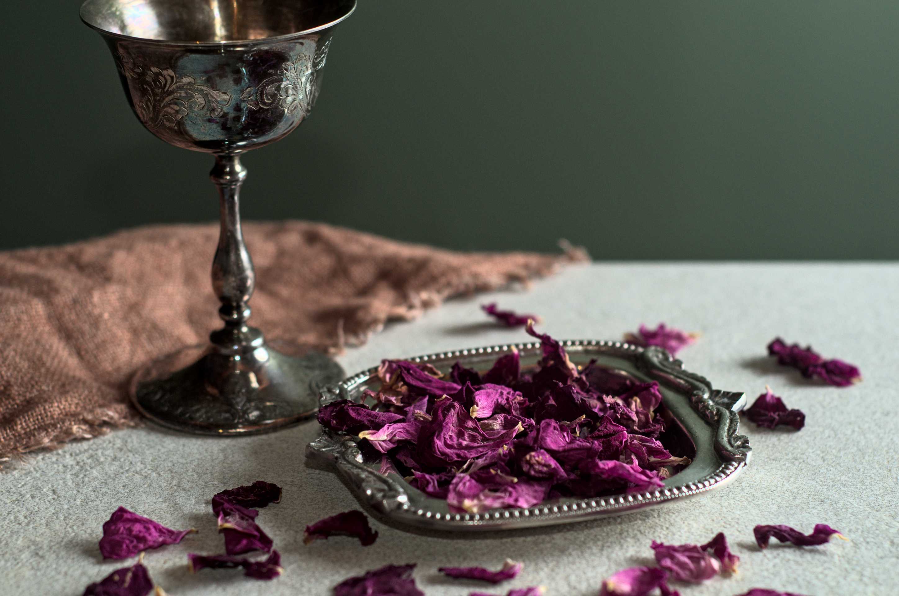 Pétales de rose sauvage du Québec - Racines boréales
