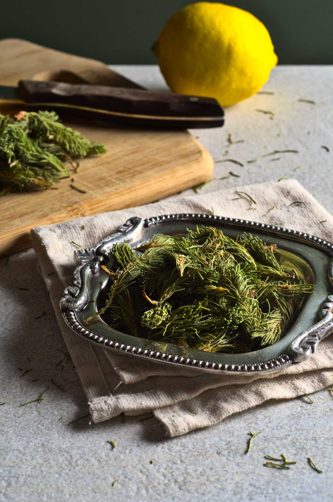 Pousses de sapin baumier - Racines boréales