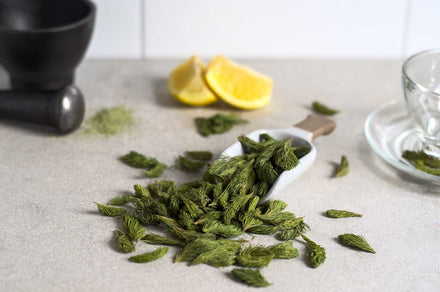 Dehydrated spruce tips