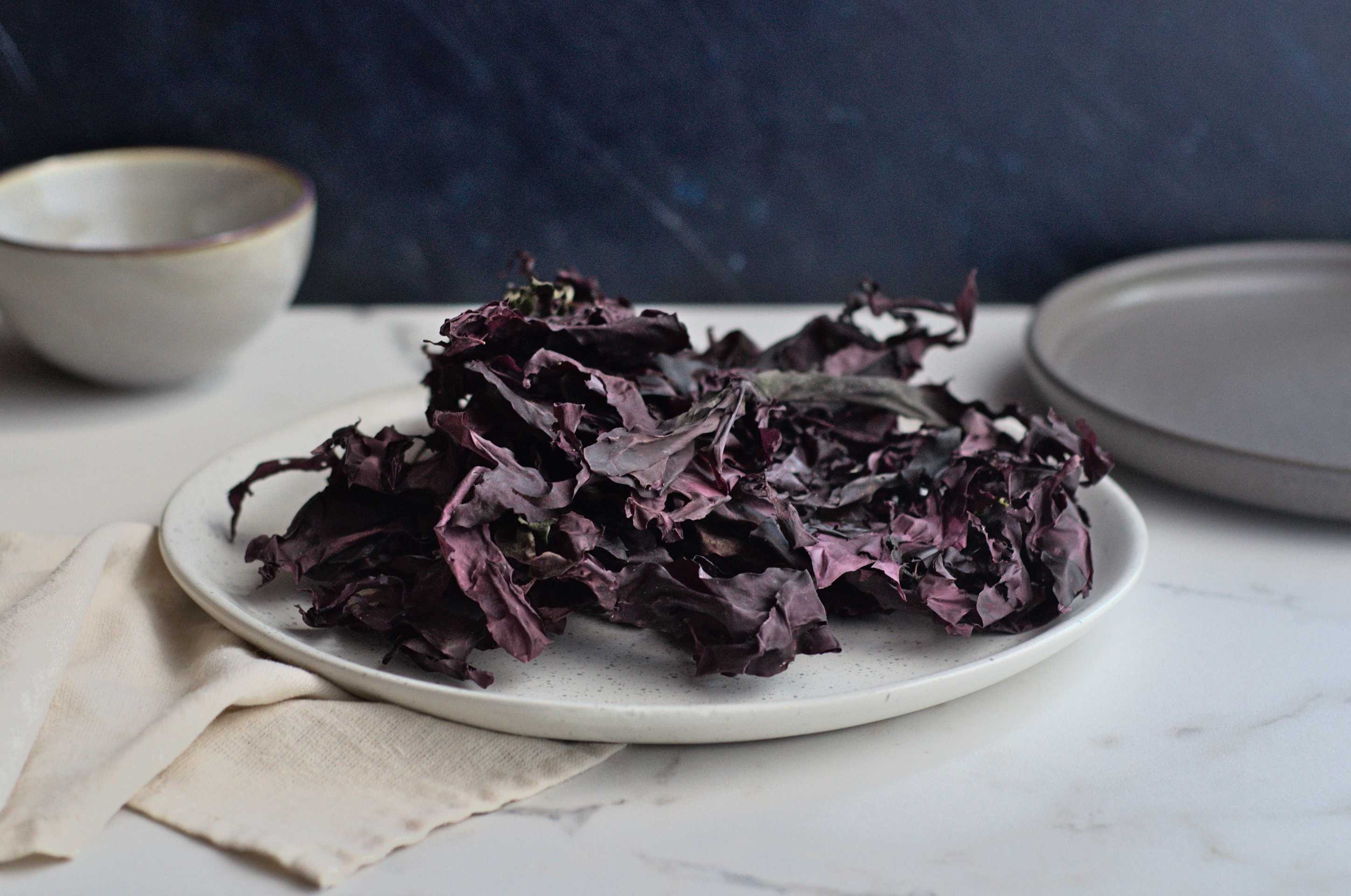 Algues | Racines boréales