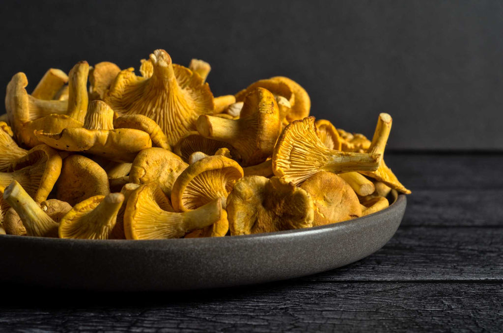 Chanterelles fraîches Racines boréales