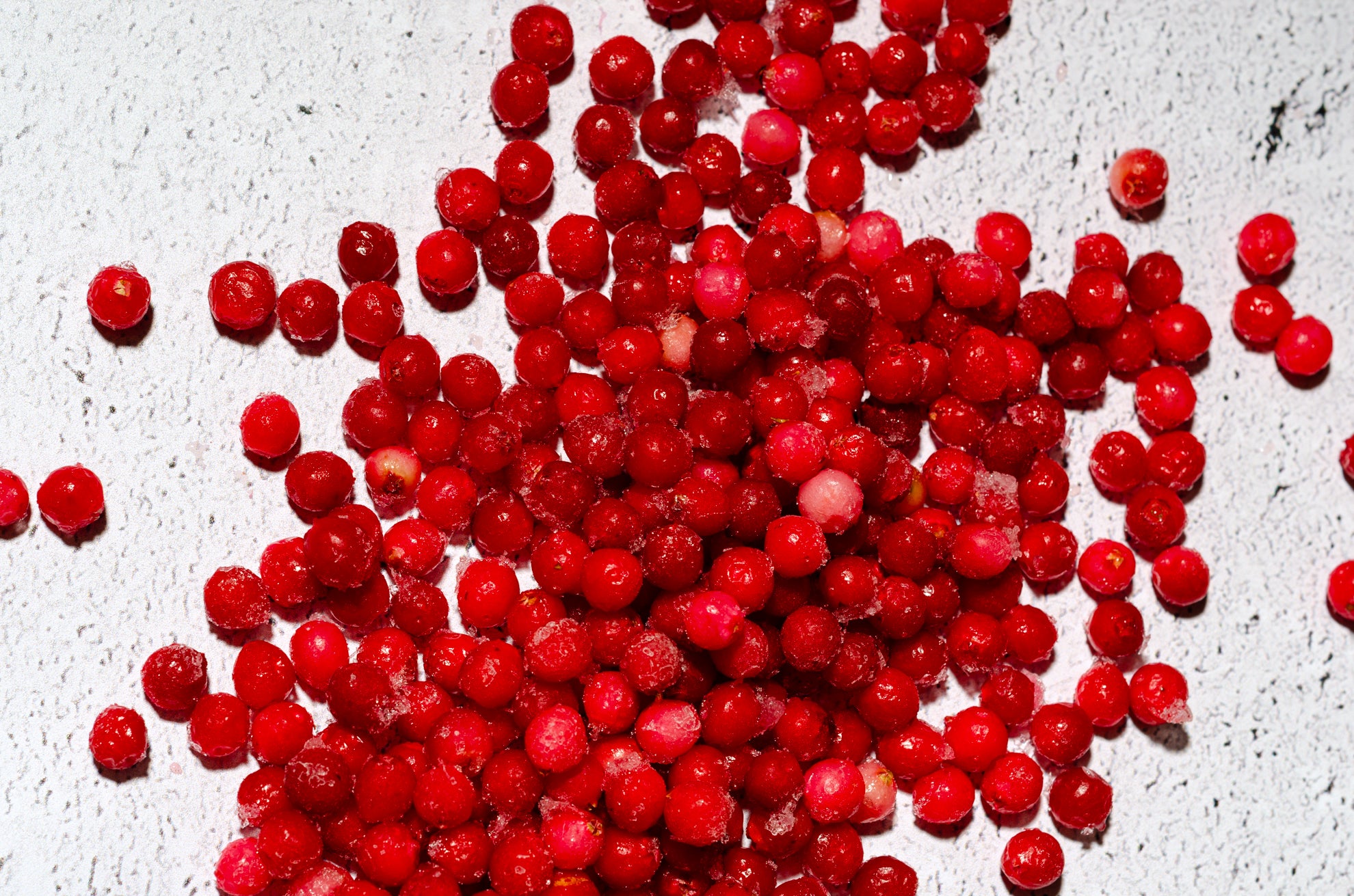 airelles congelées sur fond blanc texturé