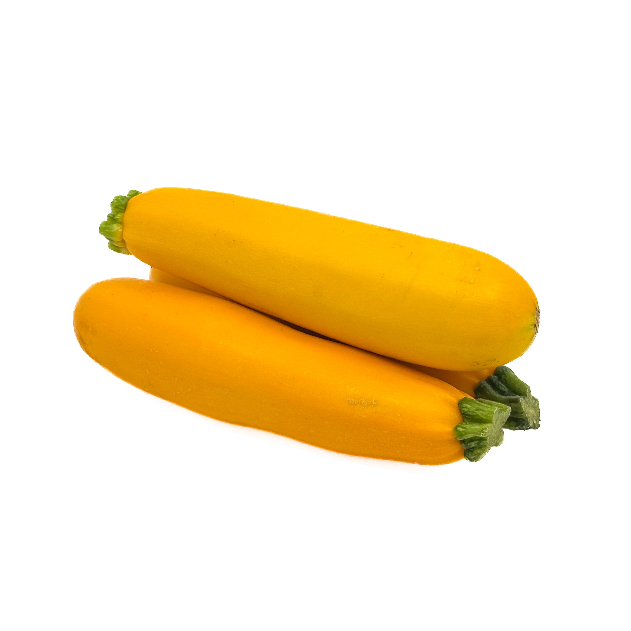 Deux courgettes jaunes fraîches sur fond blanc