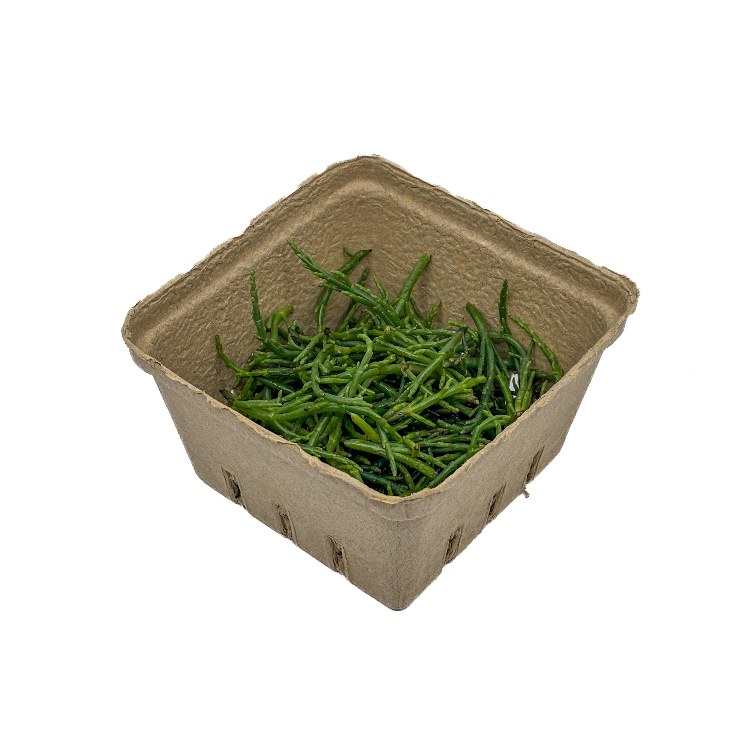 Salicorne fraîche 100 g
