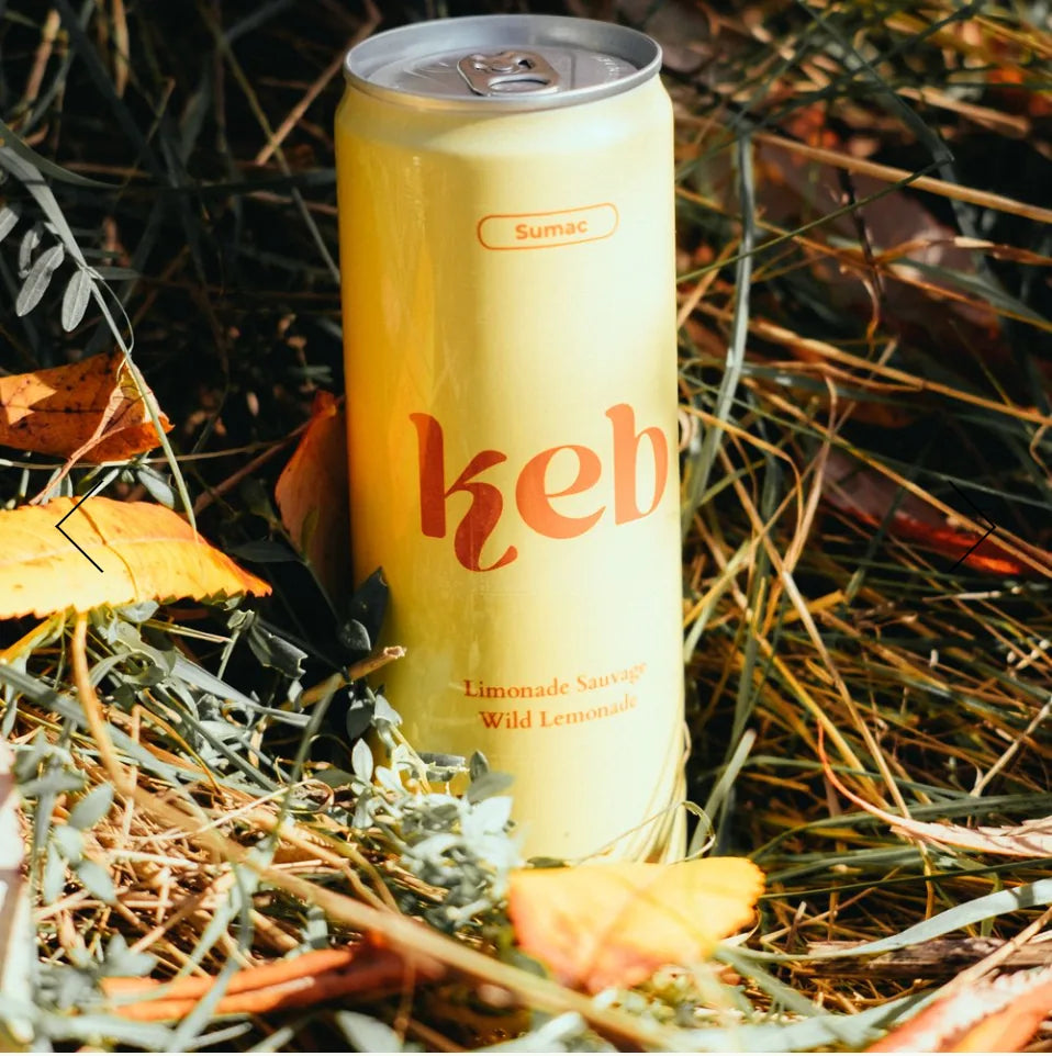 Canette de limonade sauvage Keb au sumac posée dans des herbes sèches et feuilles d'automne