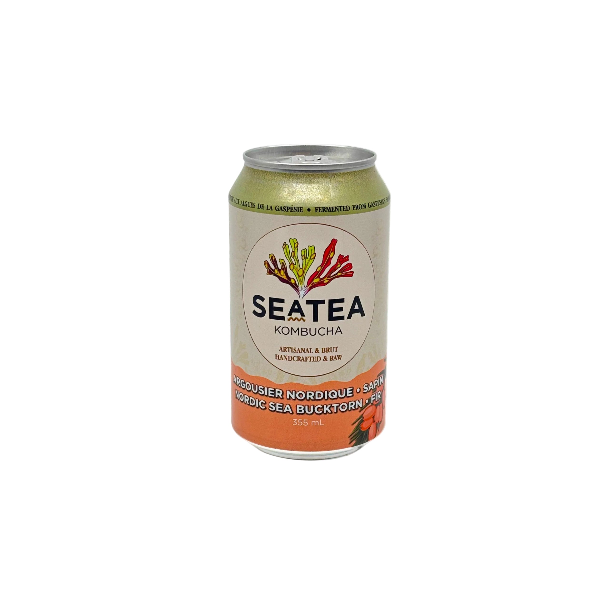 Kombucha seatea à l’argousier et sapin