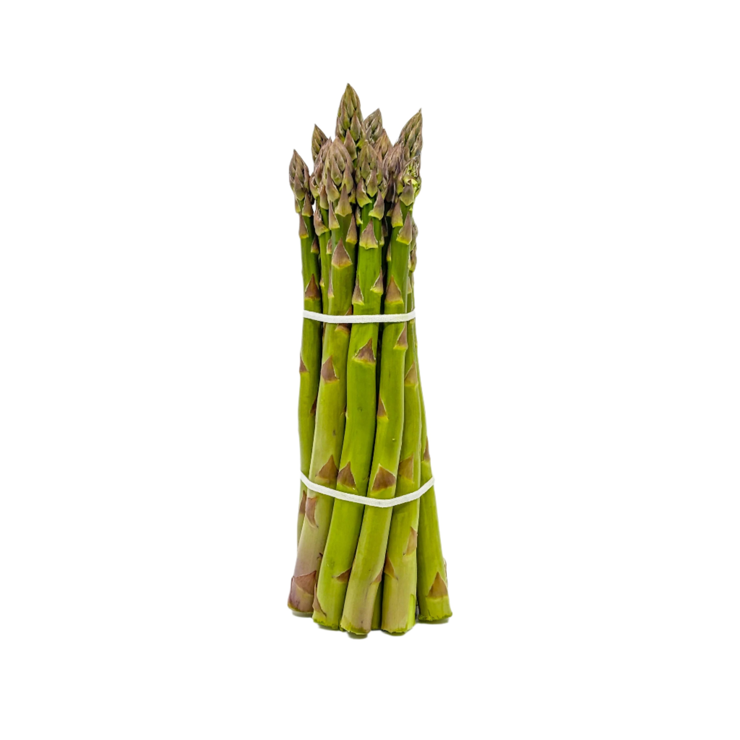 Asperges du Québec en botte photographiées sur fonc blanc