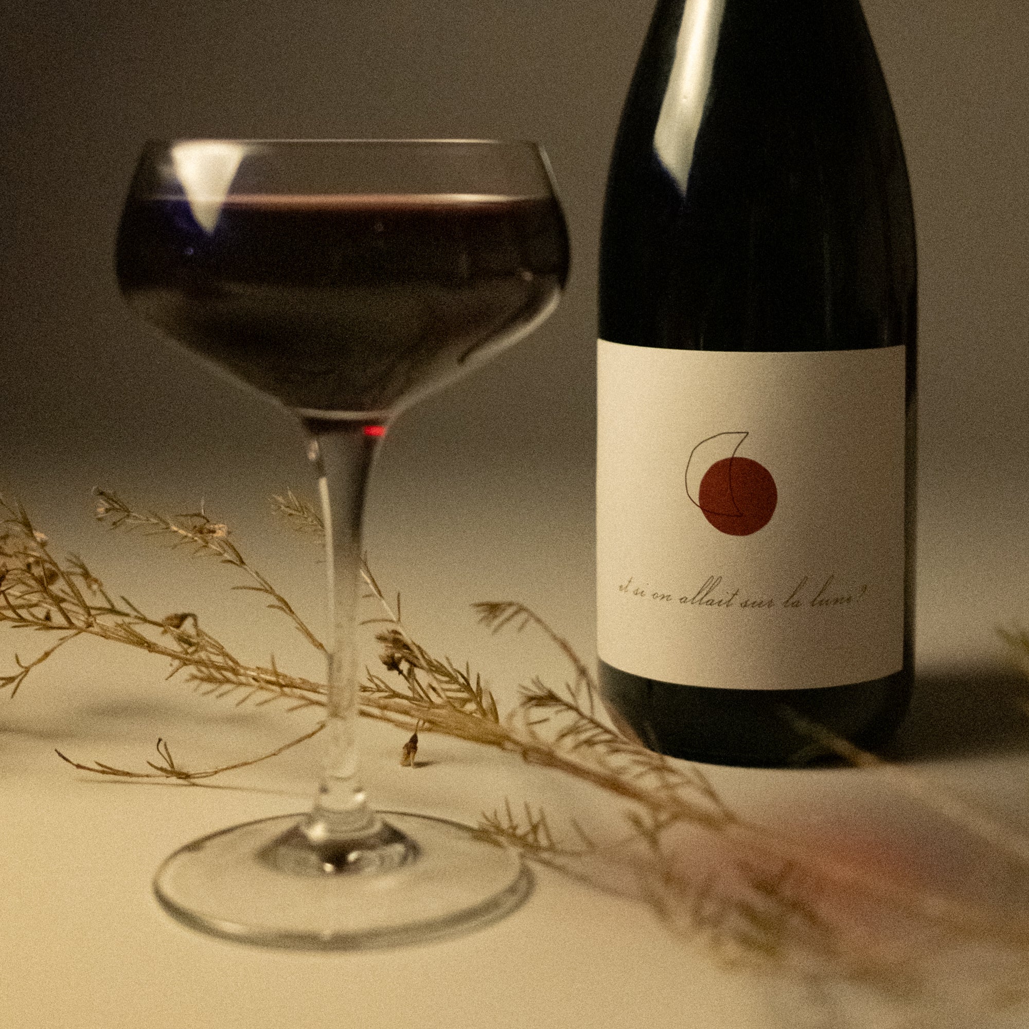 Vin Et si on allait sur la lune?