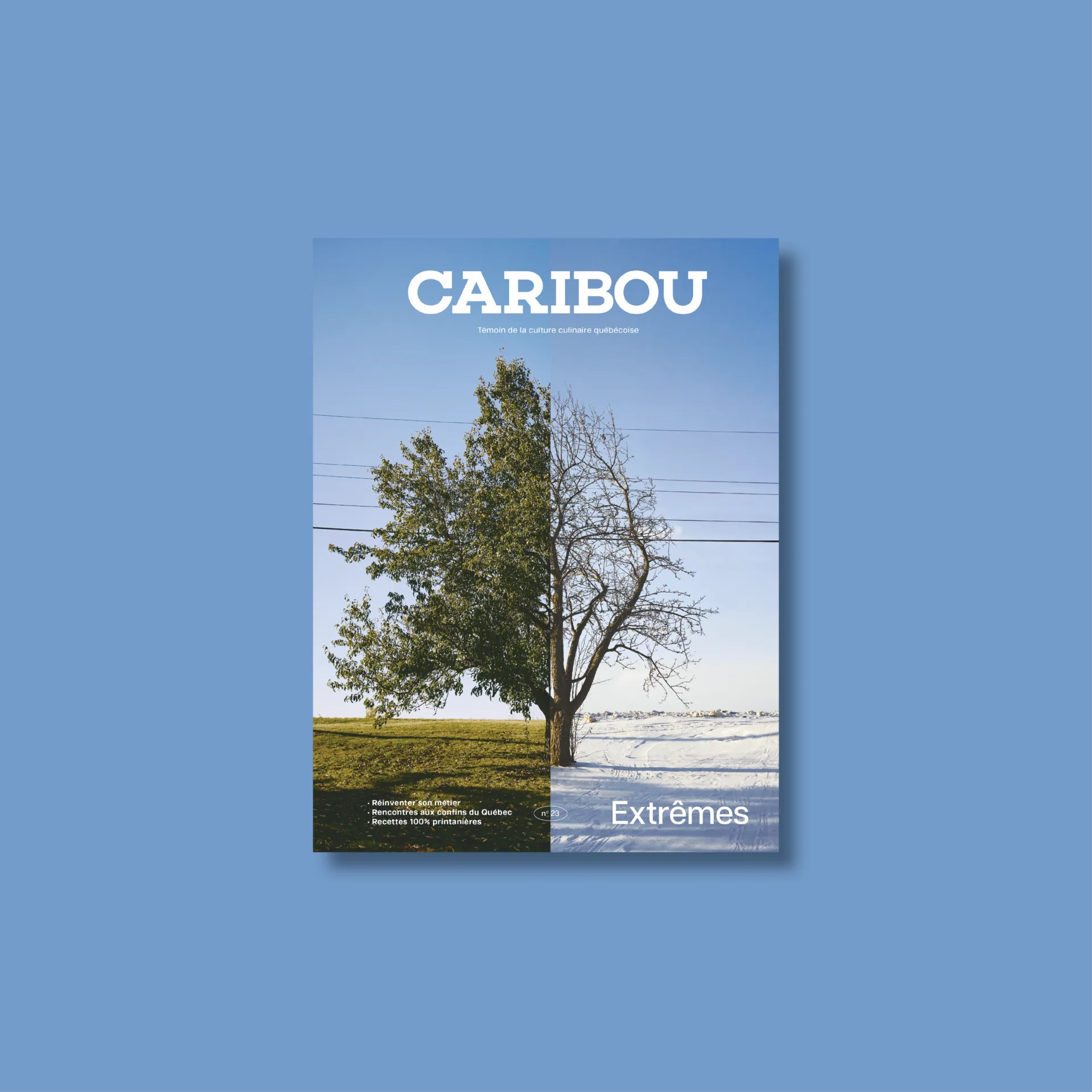 Caribou magazine