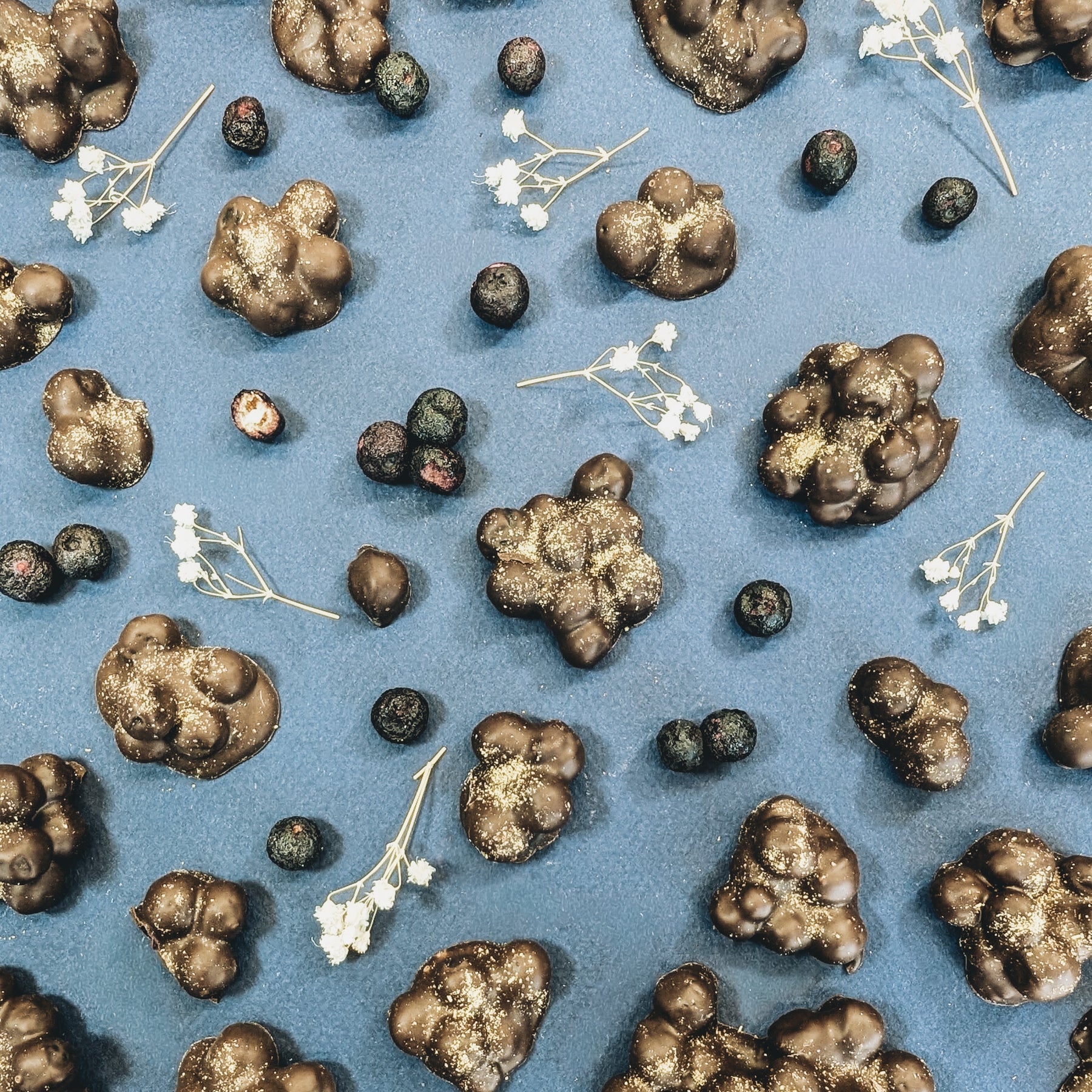 Freeze-dried Quebec strawberries in 70% dark chocolate