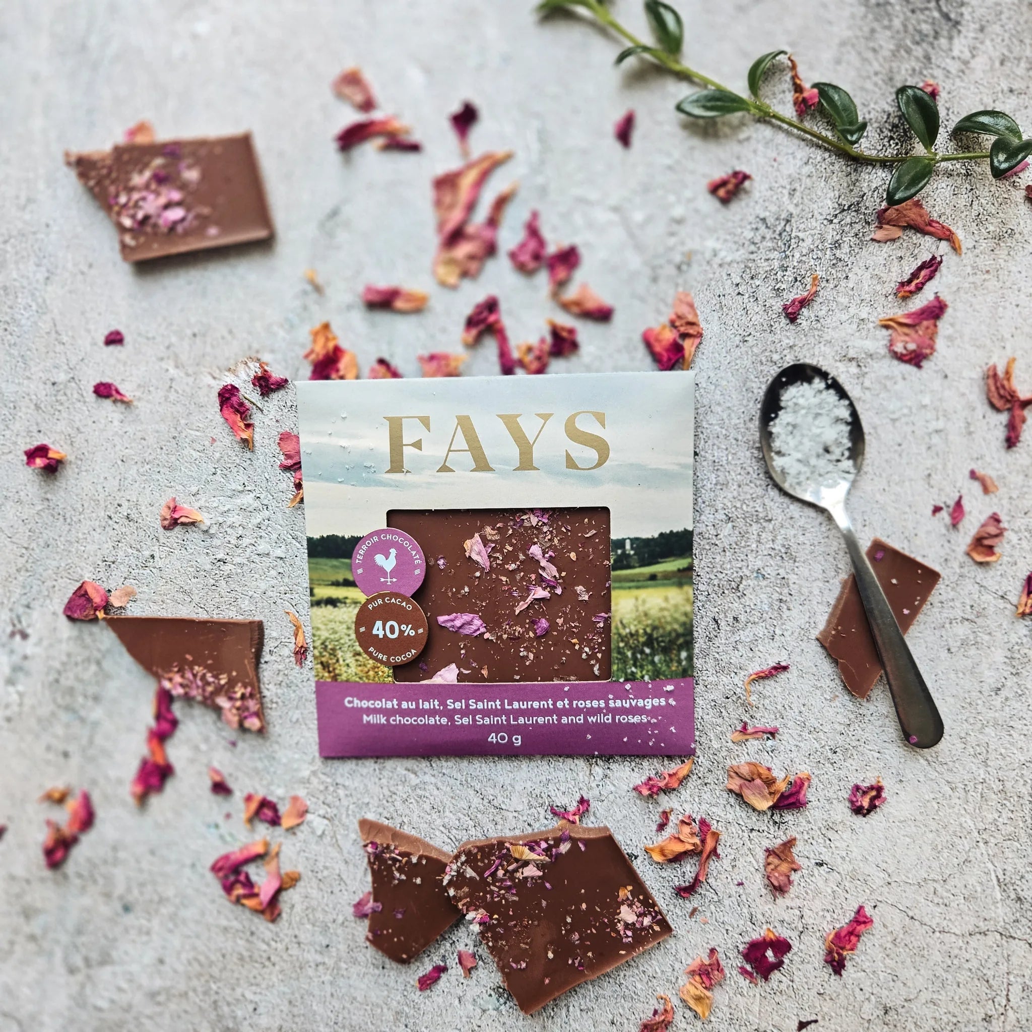 Chocolat au lait, sel Saint-Laurent & rose sauvage