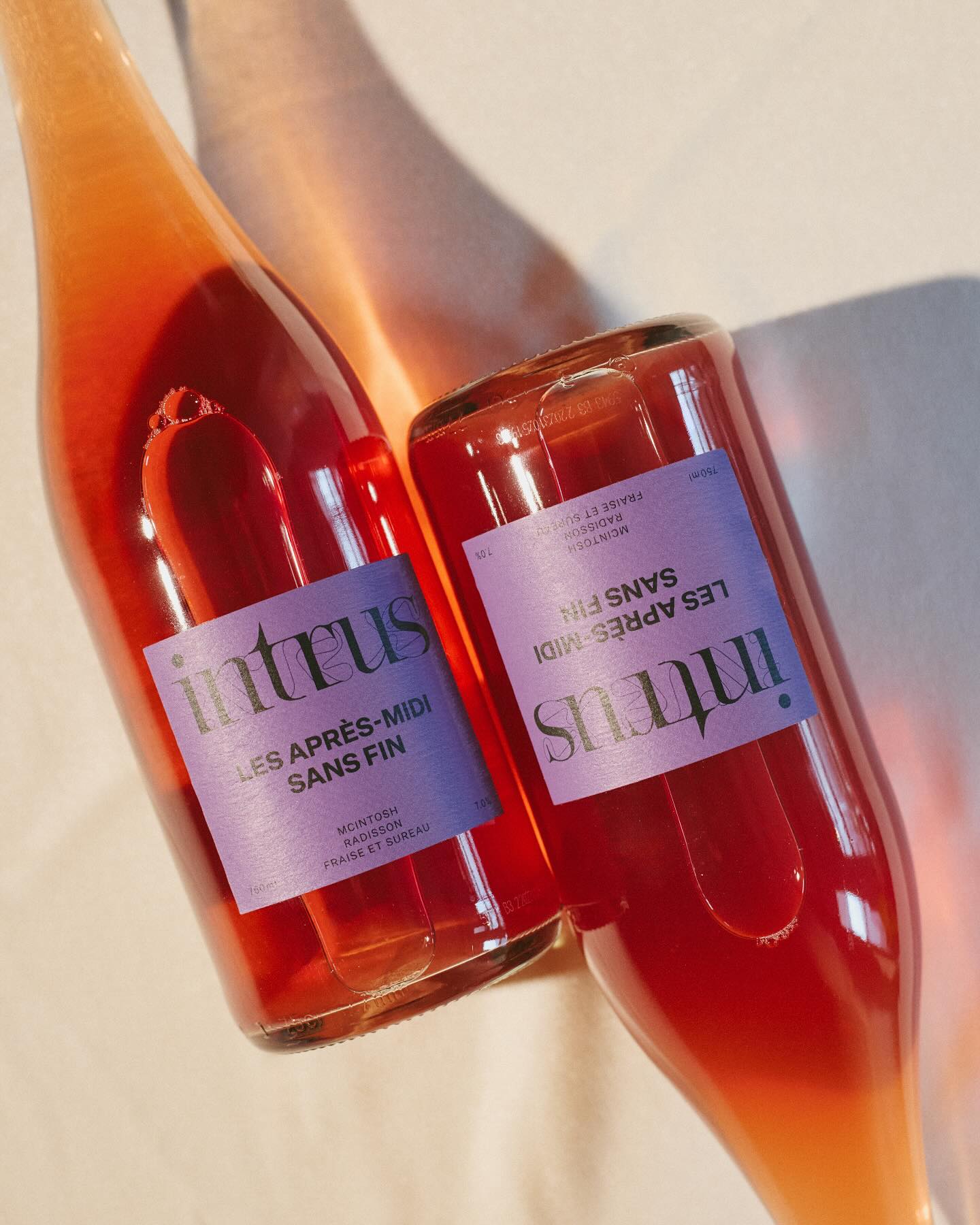 Les après-midi sans fin