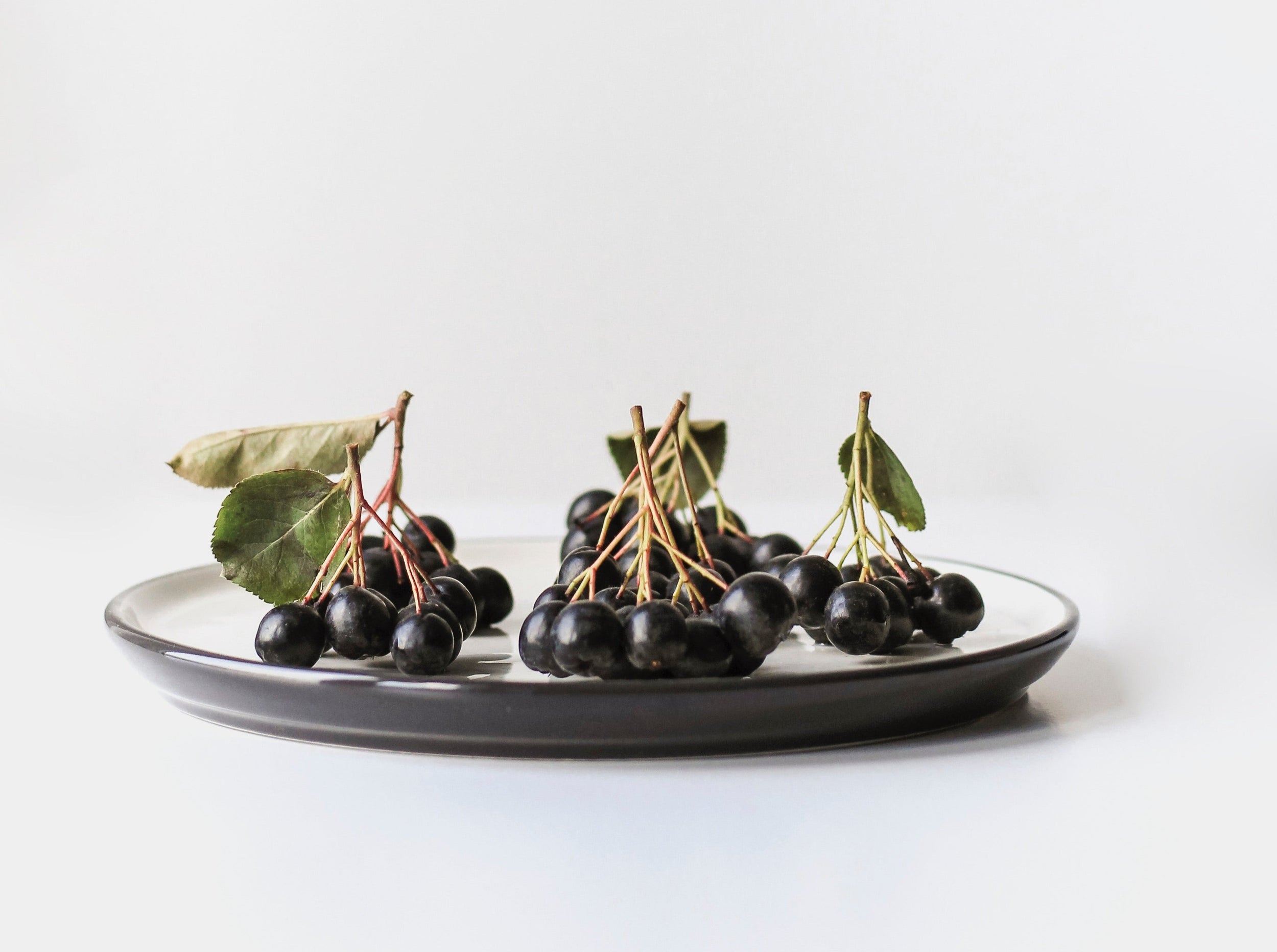 Trois grappes de baies d'aronia fraîches noires brillantes avec feuilles, posées sur assiette gris foncé