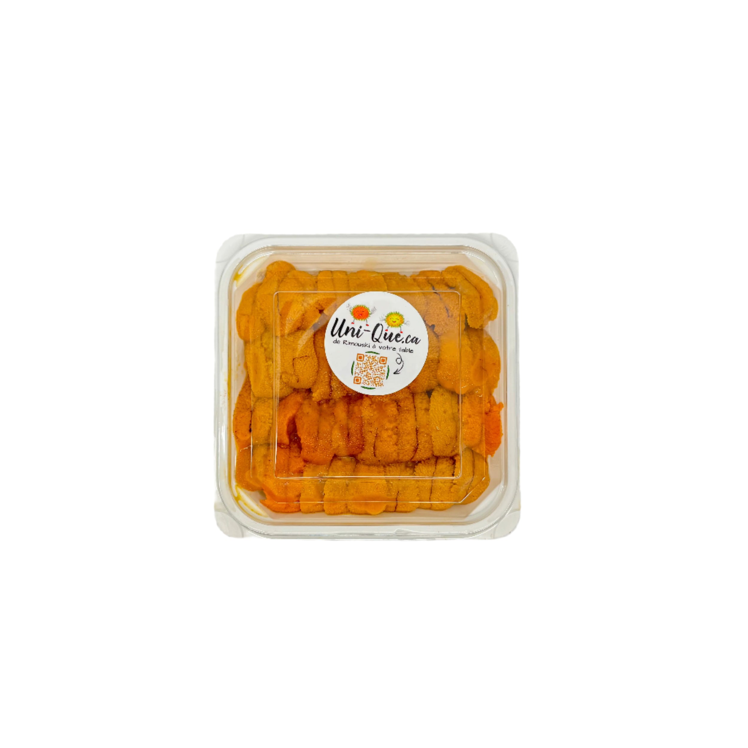 Oursins frais de Rimouski en plateau de 100 g sur fond blanc