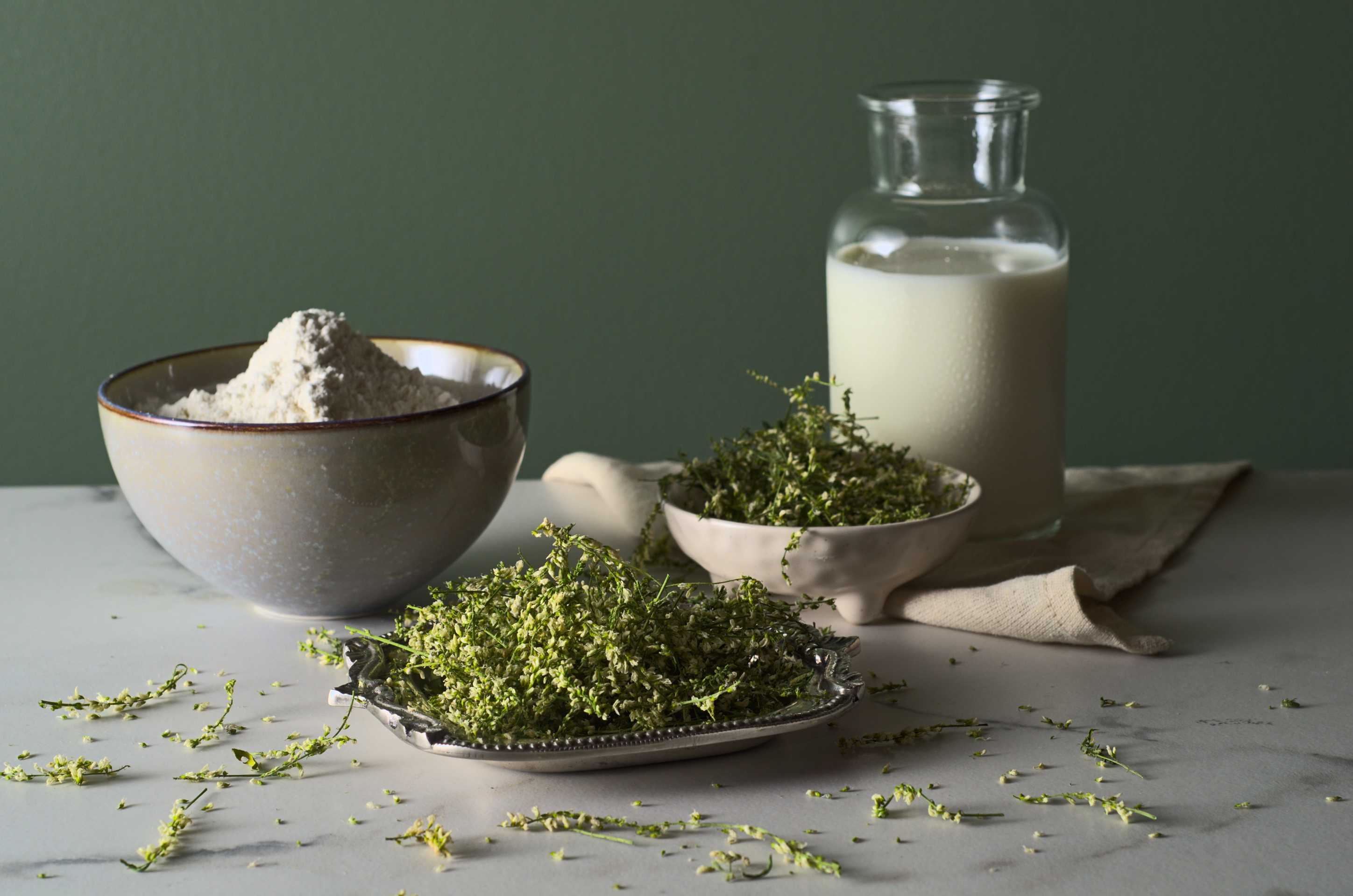Fleurs de mélilot du Québec dans un plat métallique et un petit bol de céramique blanc. À côté se trouve un bol rempli de farine et une bouteille de lait. Le tout est présenté sur un comptoir en céramique devant un fond vert.