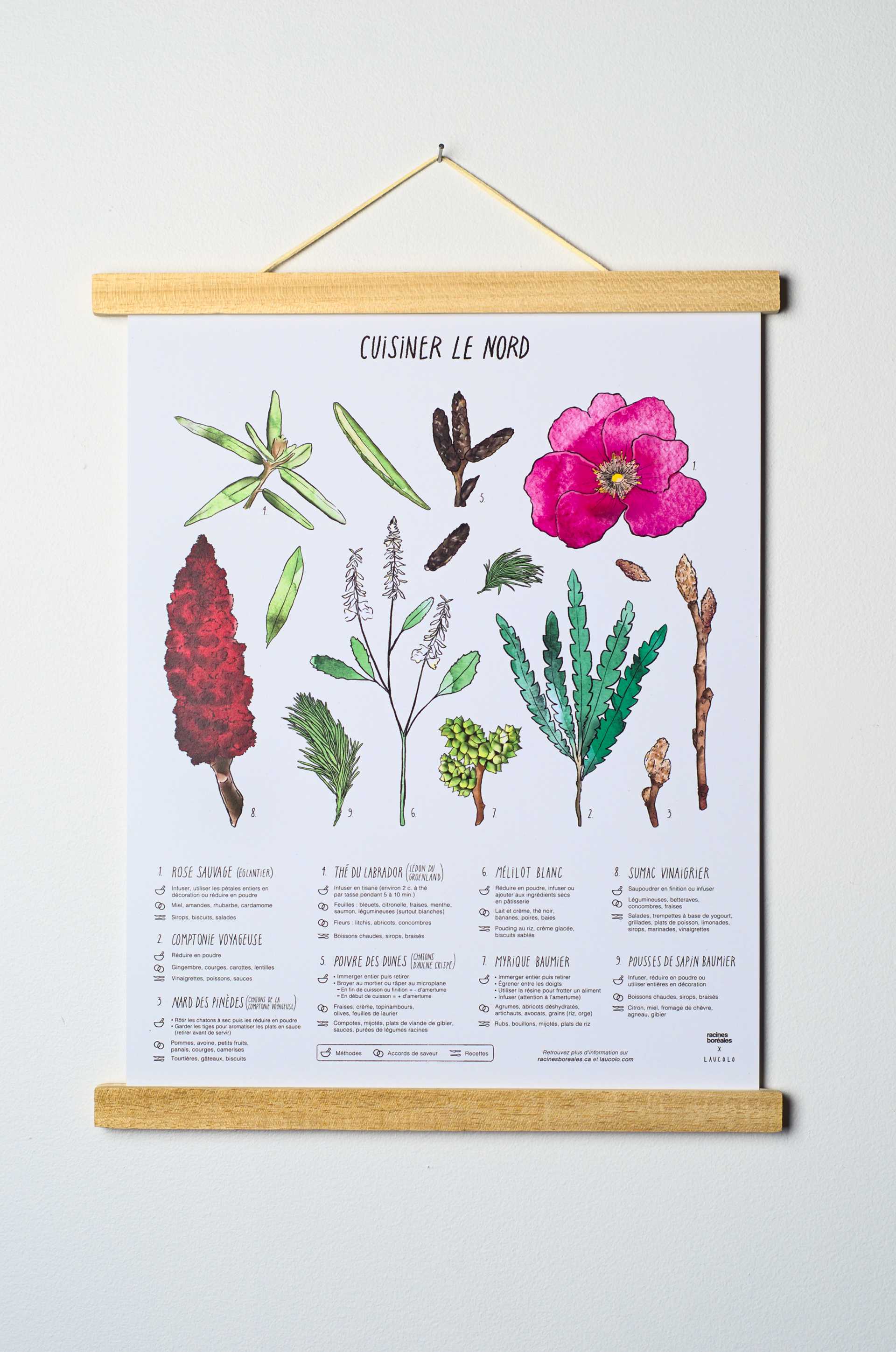 Affiche Cuisiner le Nord en collaboration avec Laucolo - Racines boréales x Laucolo