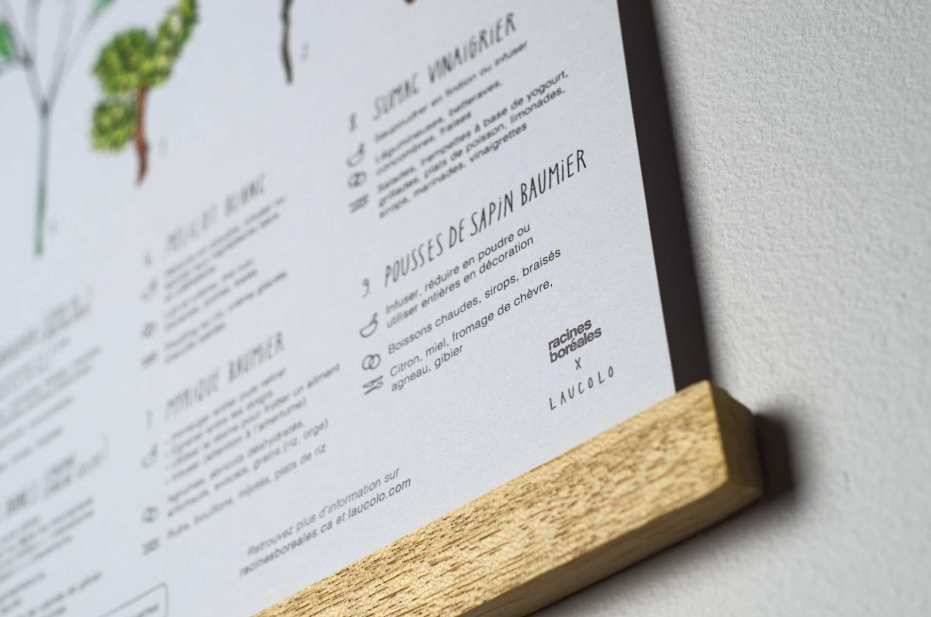 Affiche Cuisiner le Nord en collaboration avec Laucolo - Racines boréales x Laucolo