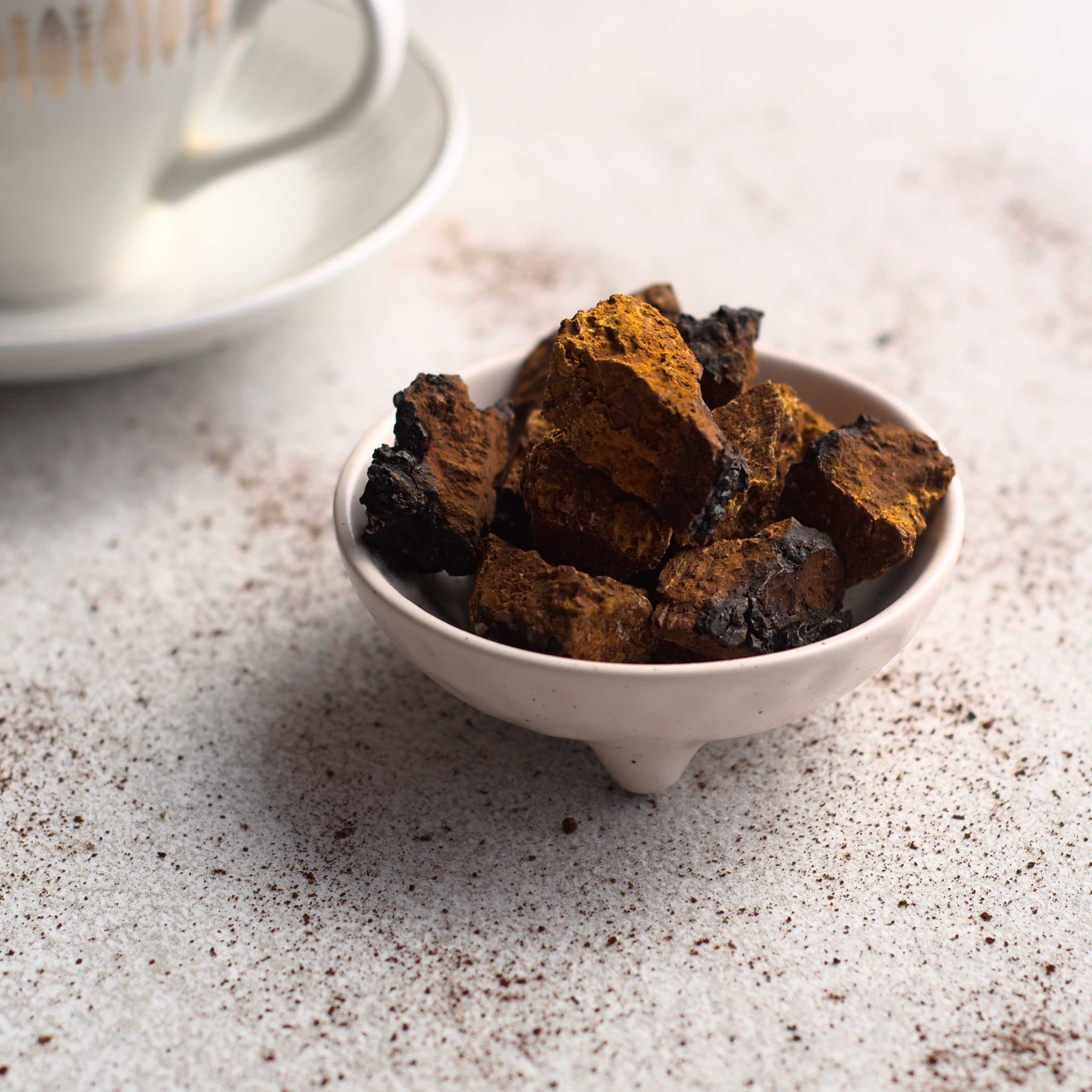 Chaga en cubes - Racines boréales