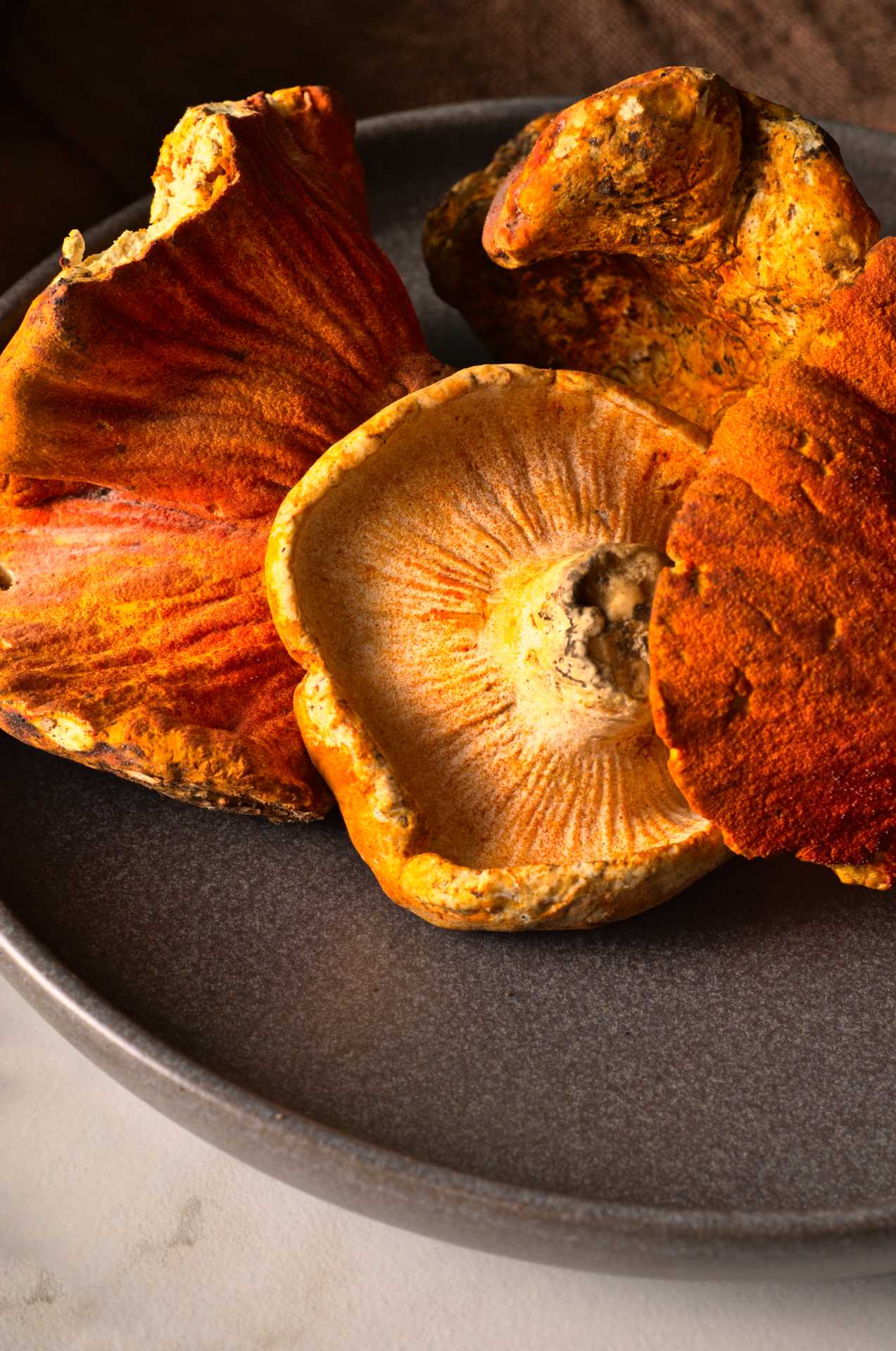 Champignons homards (lobster) frais - Racines boréales