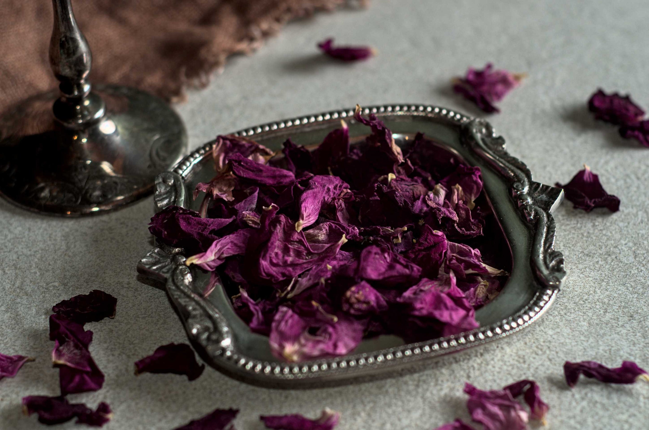 Pétales de rose sauvage du Québec - Racines boréales