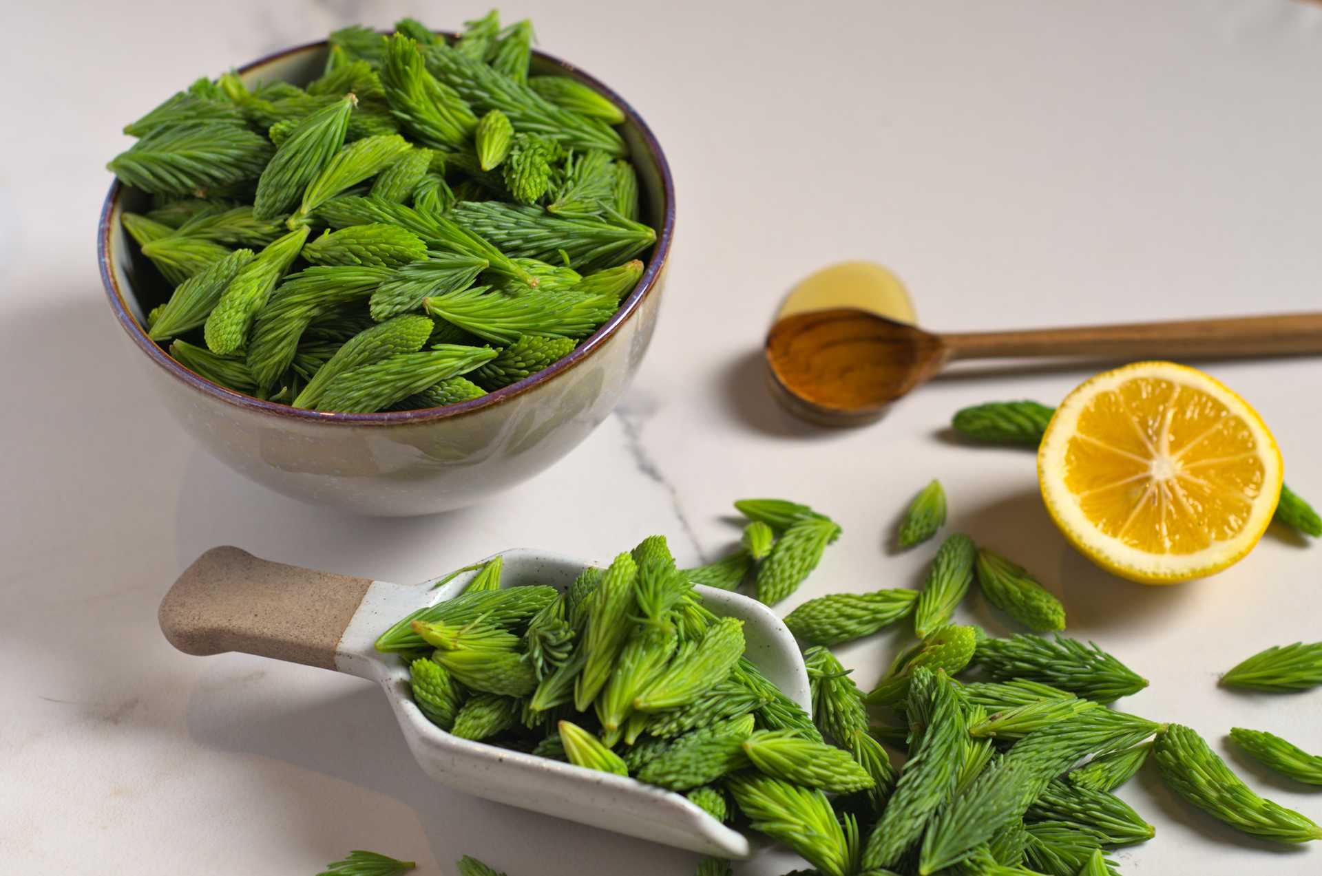 Jeunes pousses d'épinette fraîches sur un comptoir en marbre blanc